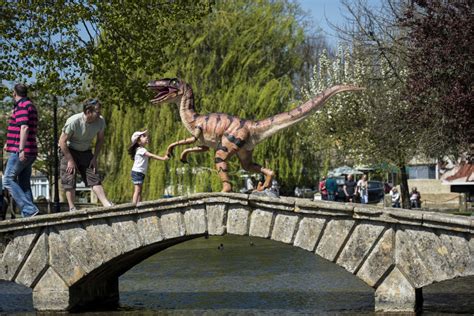 BIRDLAND and JURASSIC JOURNEY in BOURTON.